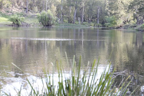 Arcadian Cabin - Southern Highlands River Retreat - Stayed 0