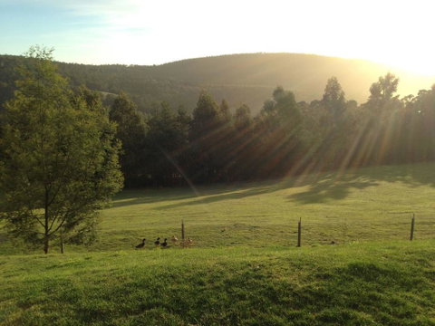 Arjuna Ridge Bed And Breakfast - Stayed 0