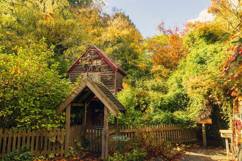 Arnica Views Summit Retreat - Stayed 1