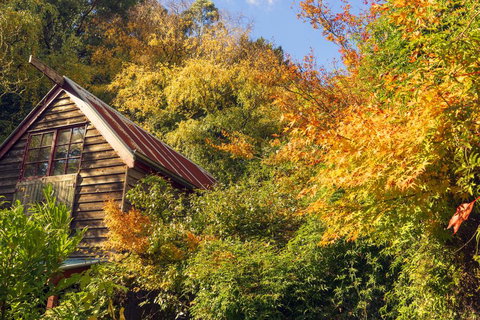 Arnica Views Summit Retreat - Stayed 2