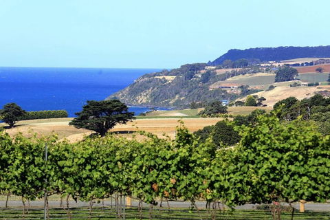 Mallavale Farm, Boat Harbour - Stayed 0