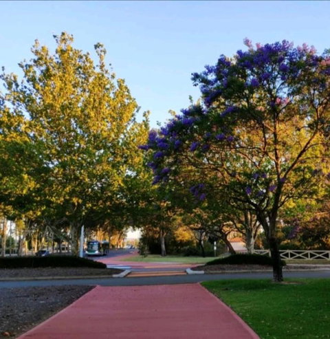 Master Room With Ensuite In A Lovely House - Stays Accommodation 0