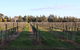 Milawa Vineyard Views - Guesthouse 1 - thumb 2