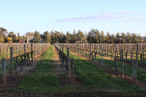 Milawa Vineyard Views - Guesthouse 1 - Stayed 2