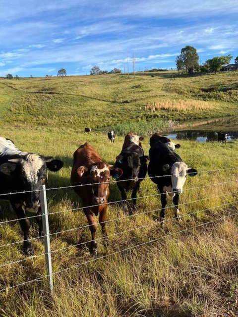 Modern Farmhouse - Stays Accommodation 3