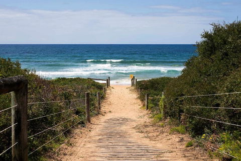 Mona Vale Surf To Tee - Stayed 1
