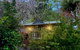 Mountain Cottage In Dandenong Ranges - thumb 0