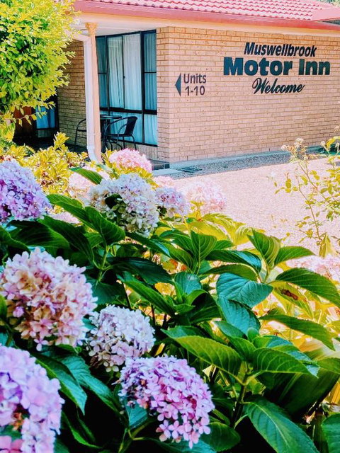 Muswellbrook Motor Inn - Stayed 0