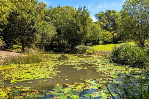 Nature Retreat Family Haven - Stays Accommodation 1