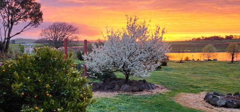 New Horizons Farm Stay - Stayed 3