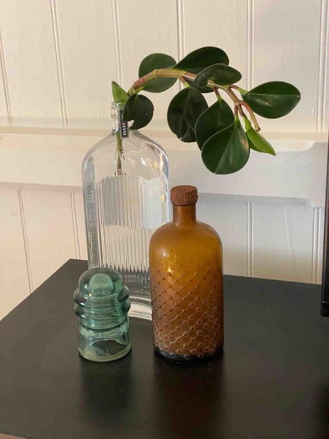 Nice To Have So Much Privacy With No Other Houses Near By - Stays Accommodation 3