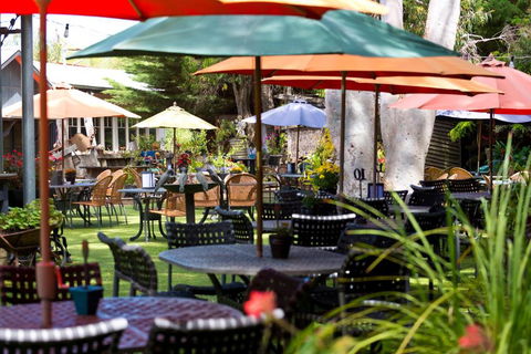 Oakdene Vineyards Guesthouse - Stayed 0