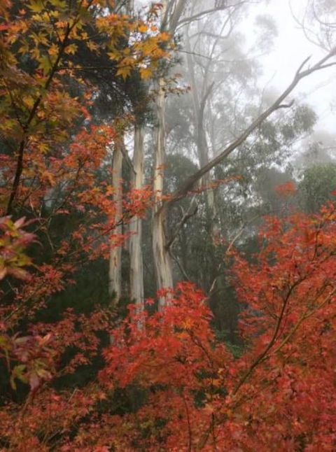 Olinda Enchanted Tower Spa Gas Log Fire And Netflix - Stayed 2