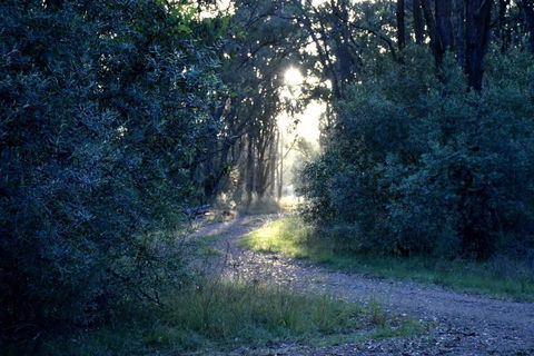 On Bell Glamping - Stays Accommodation 3