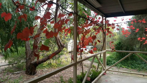 Padthaway Caravan Park - Stayed 1