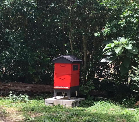 PK Illusions - Stayed 3