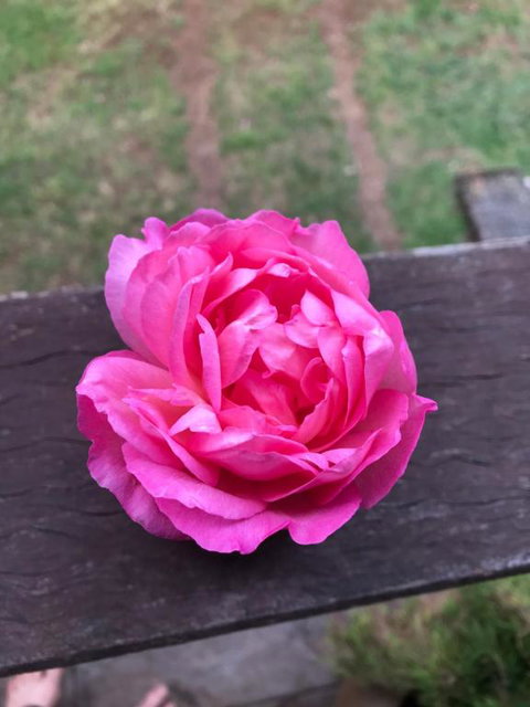 PK Illusions - Stayed 1