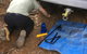 PNL4WDriving Bairnsdale Hub - thumb 1