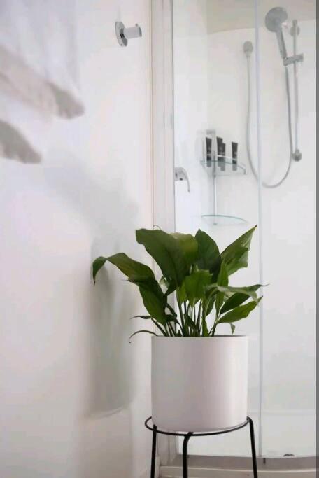 Poppies Retreat - Stayed 2