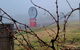 Red Door Collective - RDC Vineyard Estate, Luxury Adult Only Stay - thumb 3