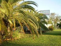 Book Winton Accommodation Vacations Stayed Stayed