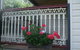 Bannockburn Cottage - thumb 3