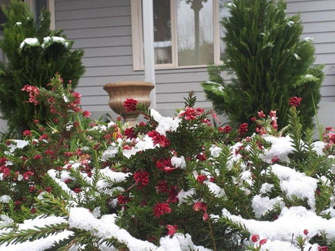 Barton Mill At Marysville - Stayed 1