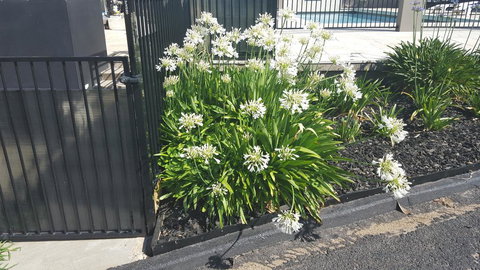 Bathurst Gold Panner - Stayed 1