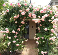 Baudins of Busselton Bed and Breakfast - Stays Accommodation