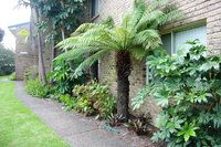 Beachfront Apartments