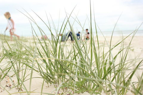 Beachfront At Bribie 2 Puppy Friendly - Stayed 3