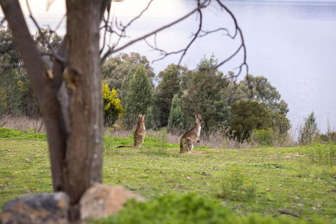 Reflections Lake Burrendong - Holiday Park - Stays Accommodation 1