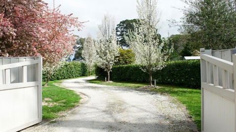 Robin Hill Manor - Stayed 2