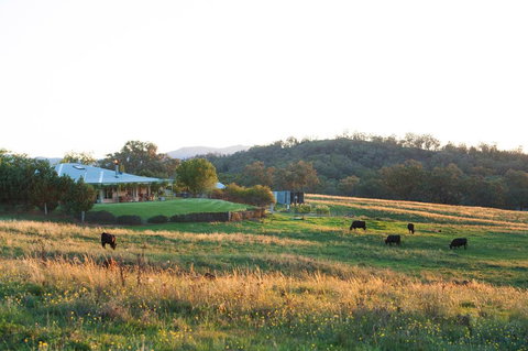 Rosby Guesthouse And Studio - Stays Accommodation 0