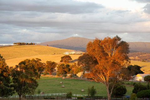 Rose Cottage Yarra Glen - Stayed 1