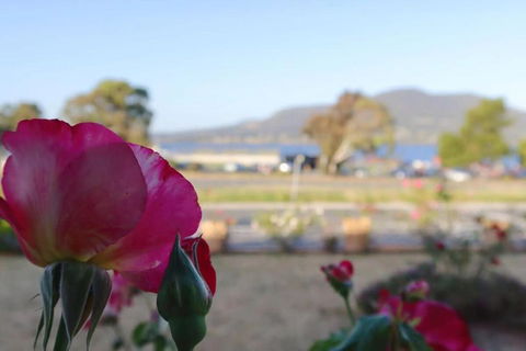 Rose Retreat With Water Front View At Montrose - Stayed 3