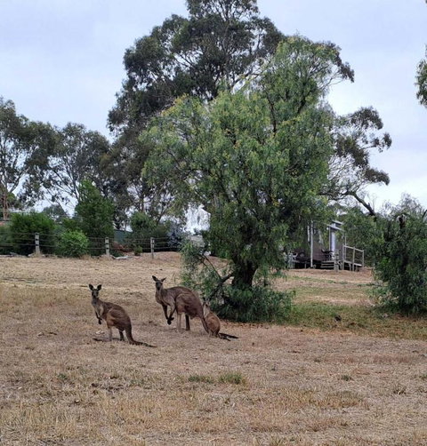 Rosewood Mac By Tiny Away - Stayed 3