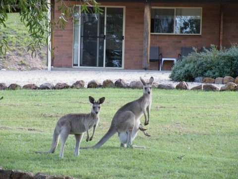 Rubyvale Motel & Holiday Units - An Adults Only Getaway - Stayed 3