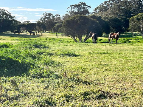 Secluded Rural Retreat In Southwest WA - Stayed 3