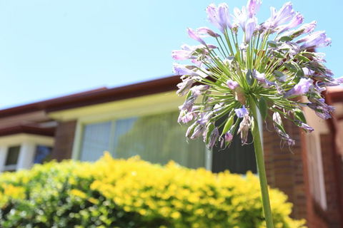 Sydney, Bexley North Holiday Home 3bedrooms, Free Parking, Close To Train Station And CBD - Stayed 1