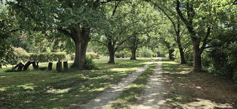 The Avenue Anahdale - Hidden 2.7 Acre Estate In Town - Stayed 3
