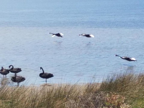 The DOLPHIN PLACE - Stayed 0