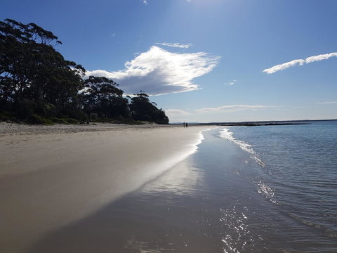 Beachside Husky - Waterfront - Stayed 2