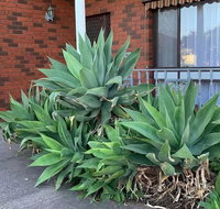 Beautiful Bedroom in Bentleigh East