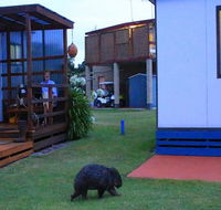 BIG4 Kelso Sands Holiday  Native Wildlife Park - Stayed