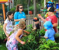 Book Lemon Tree Passage Accommodation Vacations Stayed Stayed