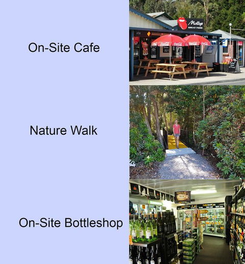 Big4 Strahan Holiday Retreat - Stayed 3