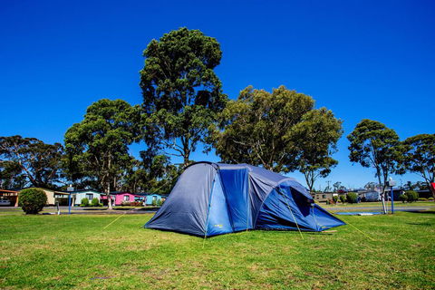BIG4 Traralgon Park Lane Holiday Park - Stayed 2