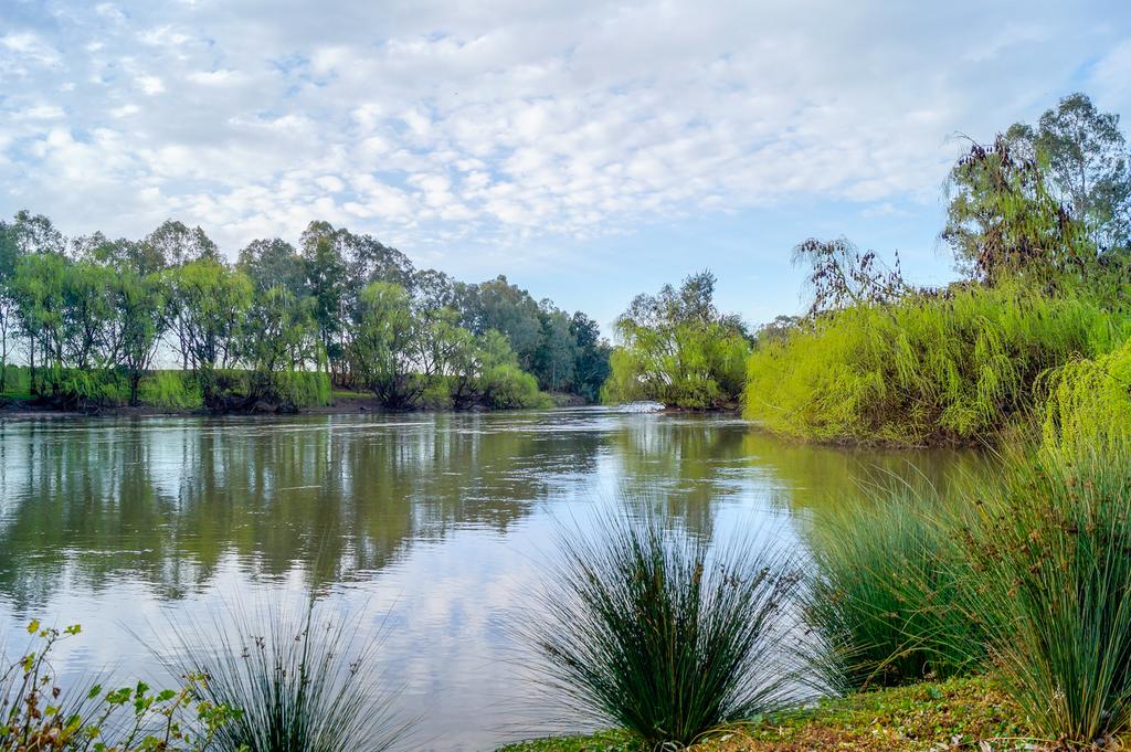 Harefield NSW Stayed