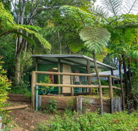 Binna Burra Rainforest Campsite